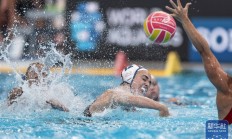 米兰登录入口-巴西选手在游泳比赛中取得胜利的简单介绍