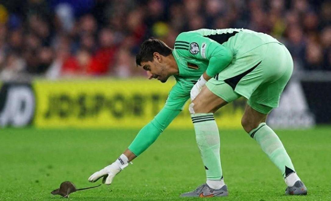 比利时击败威尔士,小组出线形势良好的简单介绍 比利时击败威尔士,小组出线形势良好的简单介绍