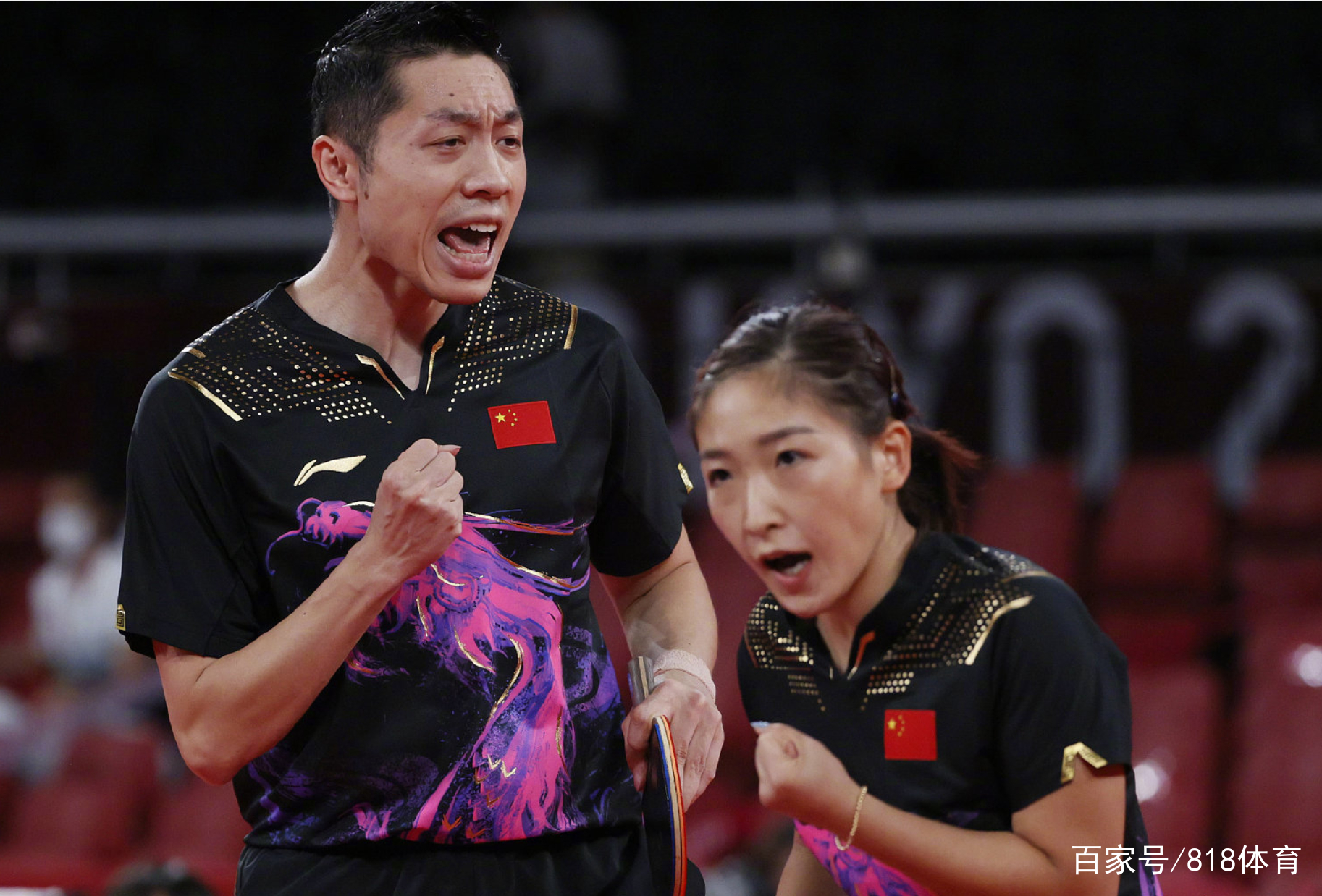 波兰队轻取瑞典队，许昕高光表现的简单介绍