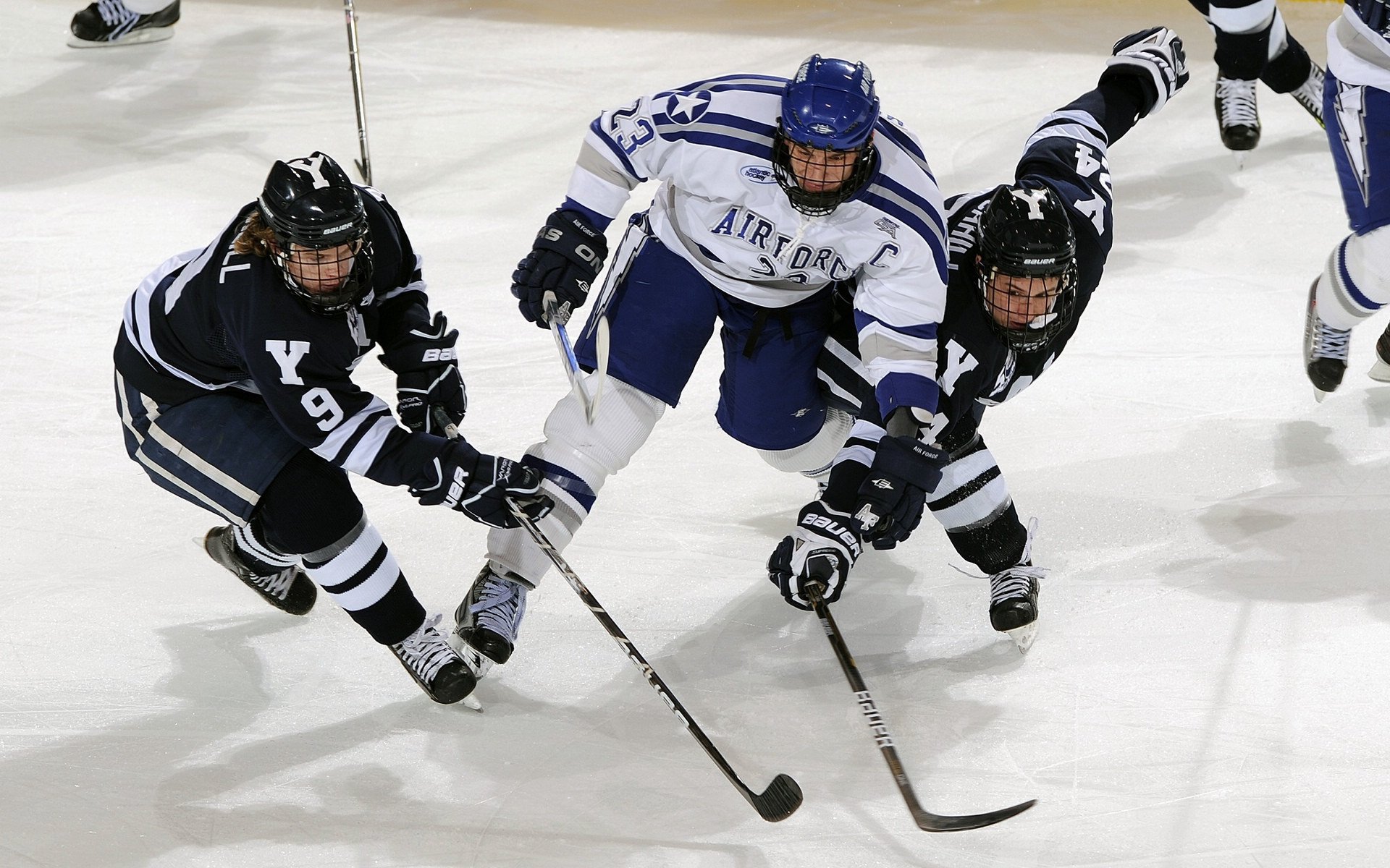 鹈鹕展翅,米切尔完美风暴席卷山西队
