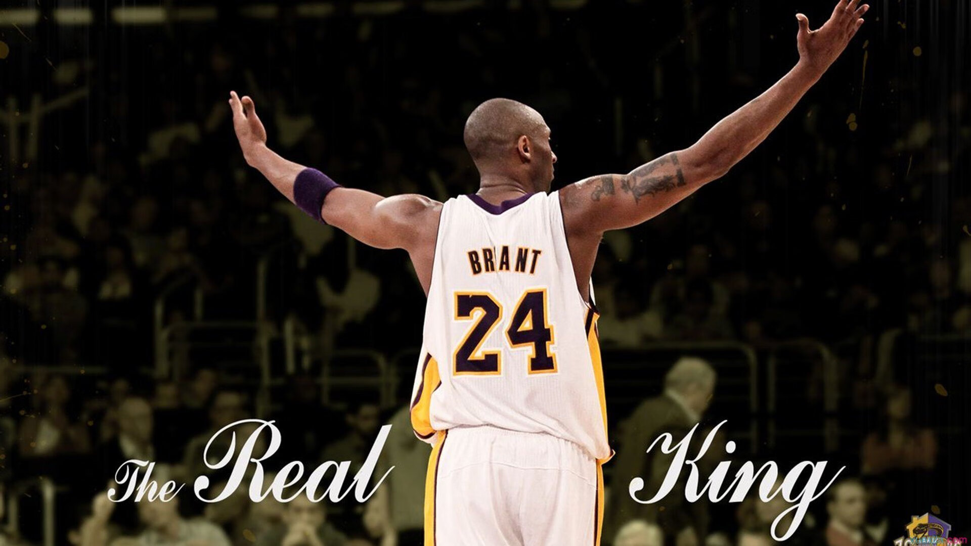 法网碾压联合杯，西西帕斯统治全场的战术革命与心理征服